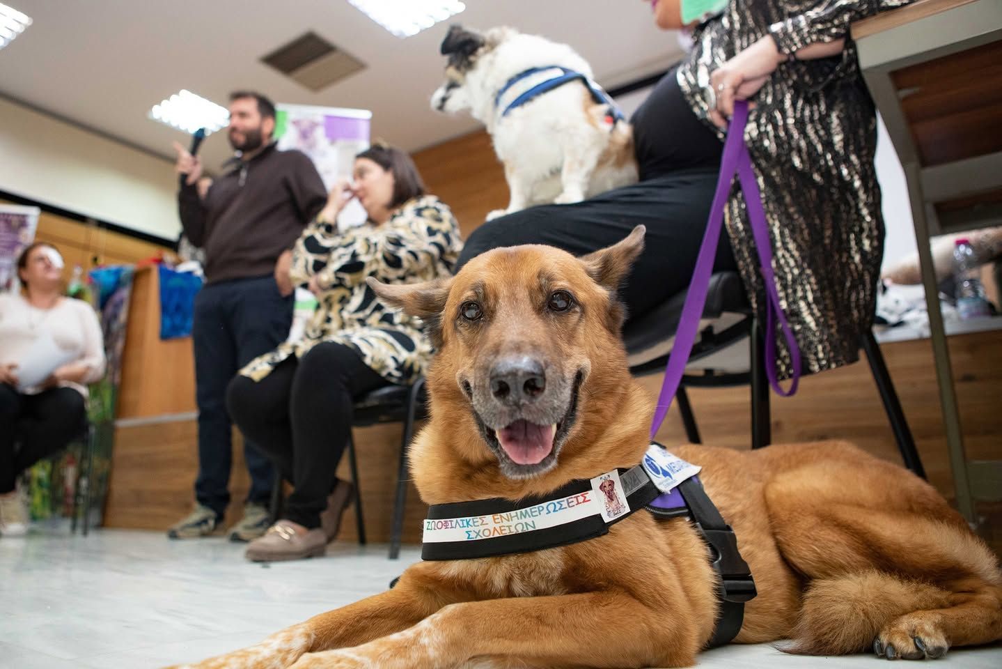 Ενδιαφέρουσα εκδήλωση για τα παιδιά και τη φιλοζωία