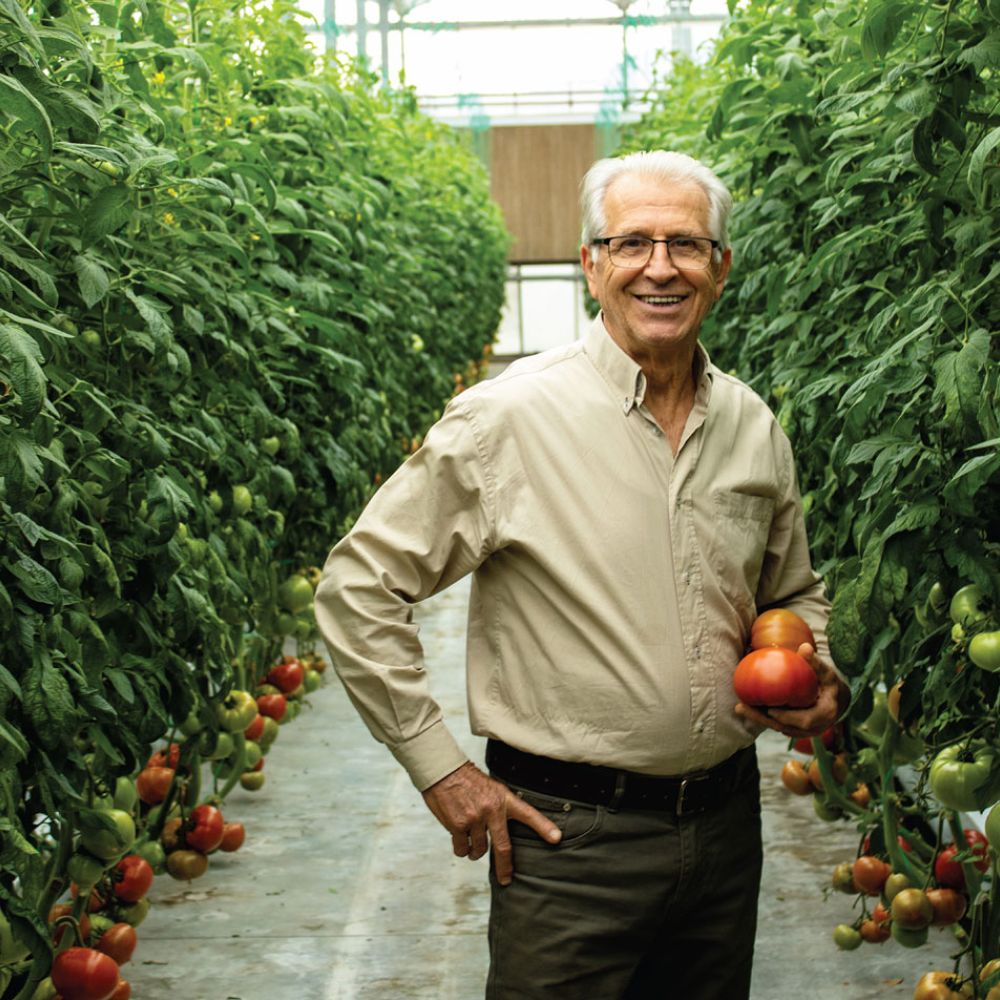 Παναγιώτης Ι. Μερμίγκης